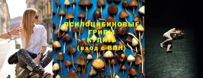 Псилоцибиновые грибы Psilocybe  MEGA   Орск 